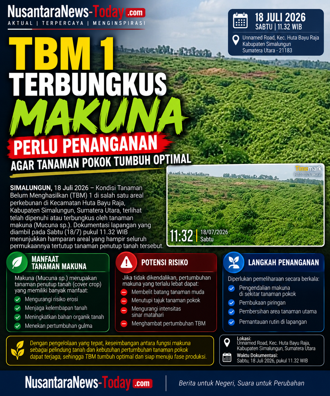 Optimalisasi Pertumbuhan TBM 1 di Simalungun: Keseimbangan Pengelolaan Makuna Kunci Produktivitas