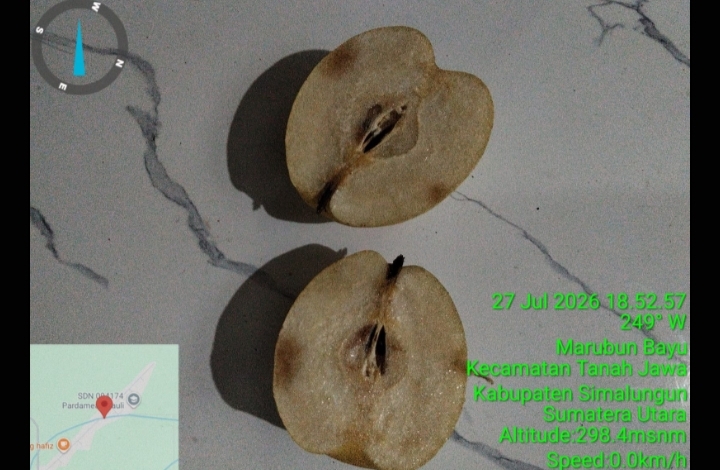 Oplus_0 Keluhan Warga Simalungun: Buah Busuk Ditemukan dalam Paket Makan Bergizi Gratis untuk Ibu Menyusui