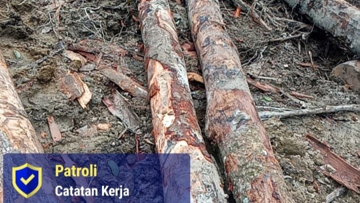 Oplus_0 Indikasi Pembalakan Liar di Pematang Sidamanik Simalungun Terungkap, Tumpukan Kayu Gelondongan Diamankan