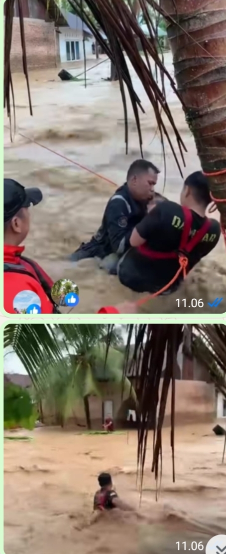 ​Aksi Heroik Petugas Damkar Terjang Arus Deras Banjir Bandang Demi Selamatkan Warga.